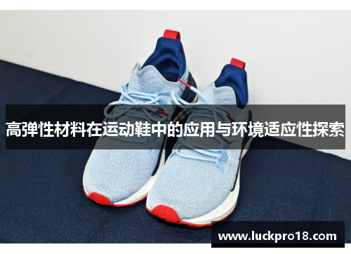高弹性材料在运动鞋中的应用与环境适应性探索